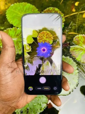 Apple iPhone 13 (Used)