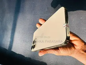 Apple iPhone 13 Pro Max (Used)
