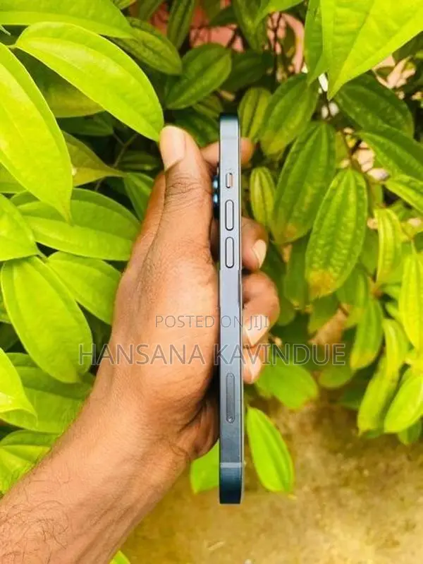 Apple iPhone 13 (Used)
