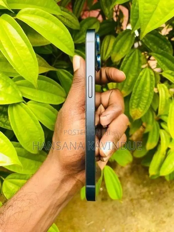 Apple iPhone 13 (Used)