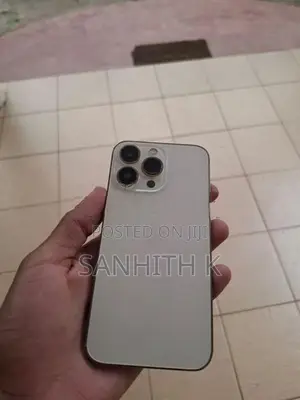 Apple iPhone 13 Pro (Used)