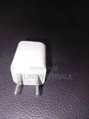 Apple Charger