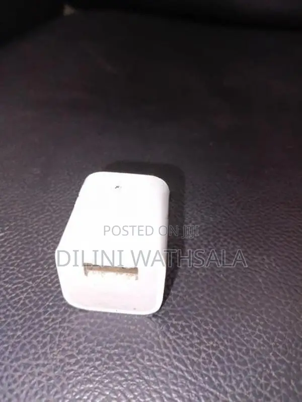 Apple Charger