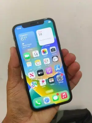 Apple iPhone X 64gb (Used)