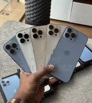 Apple iPhone 13 Pro Max (Used)