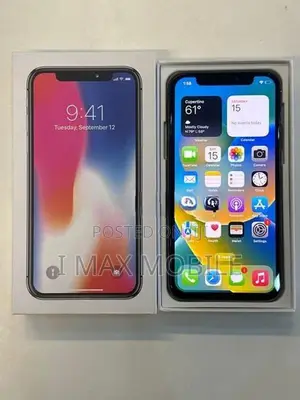 Apple iPhone X 256GB (Used)