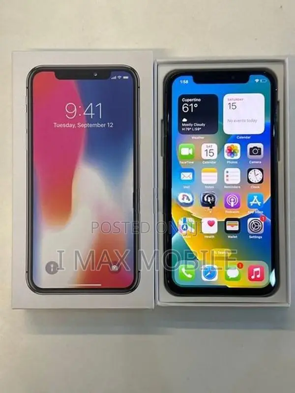 Apple iPhone X 256GB (Used)