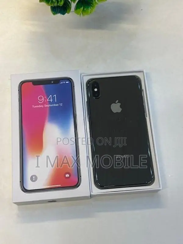 Apple iPhone X 256GB (Used)