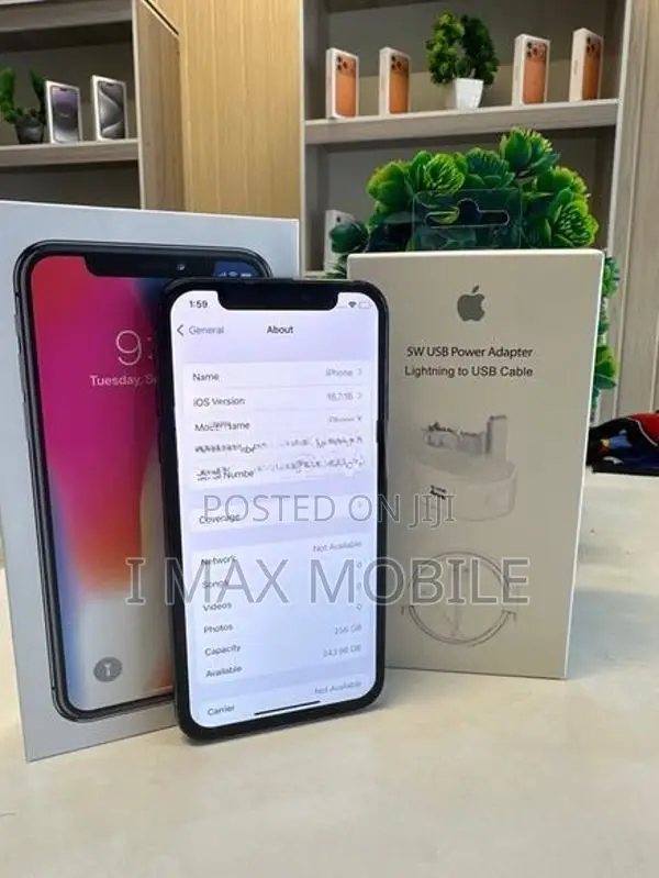 Apple iPhone X 256GB (Used)