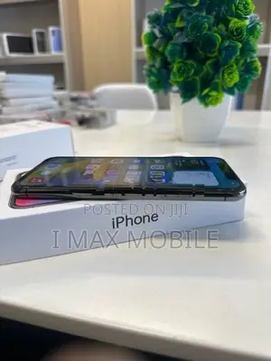 Apple iPhone X 256GB (Used)