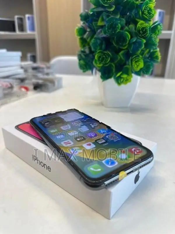 Apple iPhone X 256GB (Used)