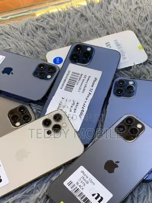 Apple iPhone 12 Pro Max 256GB (Used)