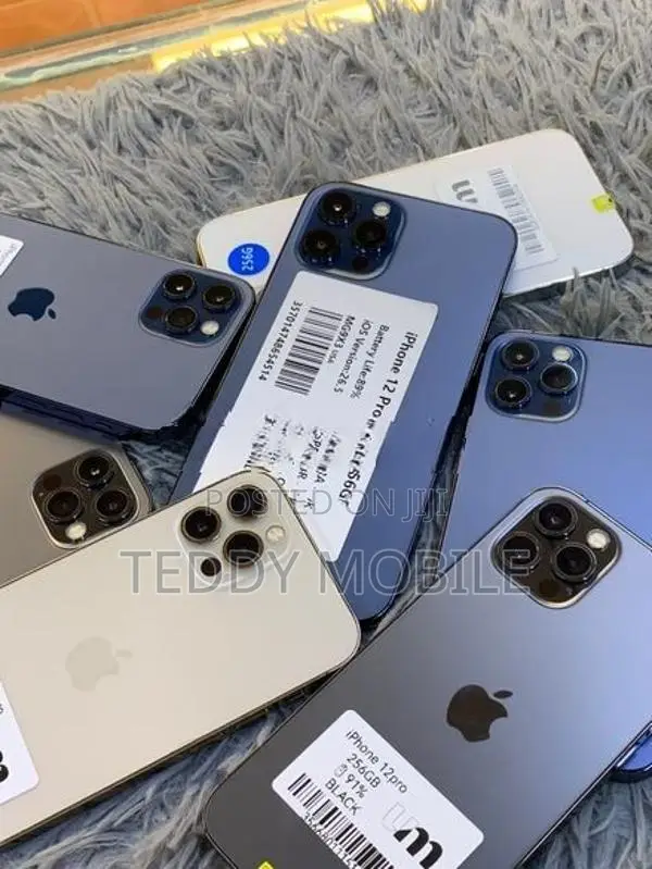 Apple iPhone 12 Pro Max 256GB (Used)