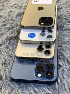 Apple iPhone 12 Pro Max 256GB (Used)