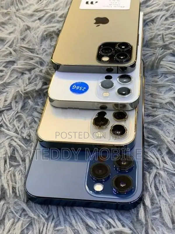 Apple iPhone 12 Pro Max 256GB (Used)