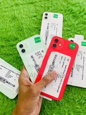 Apple iPhone 12 (Used)