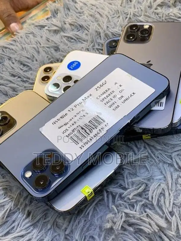 Apple iPhone 12 Pro Max 256GB (Used)