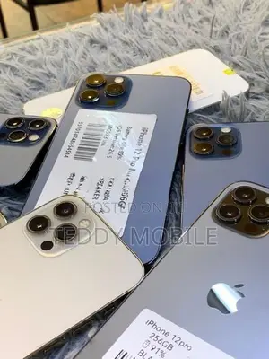 Apple iPhone 12 Pro Max 256GB (Used)