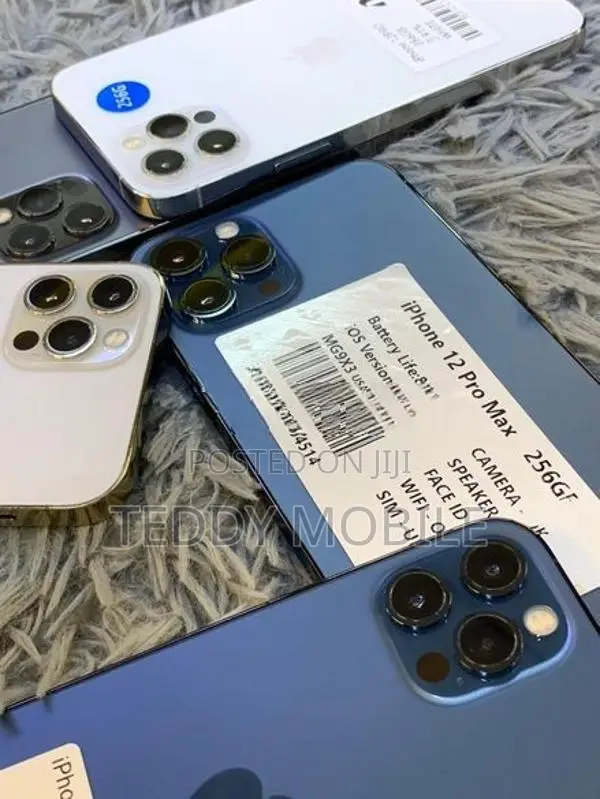Apple iPhone 12 Pro Max 256GB (Used)