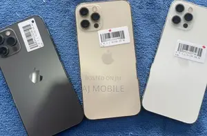 Apple iPhone 12 Pro 256GB (Used)