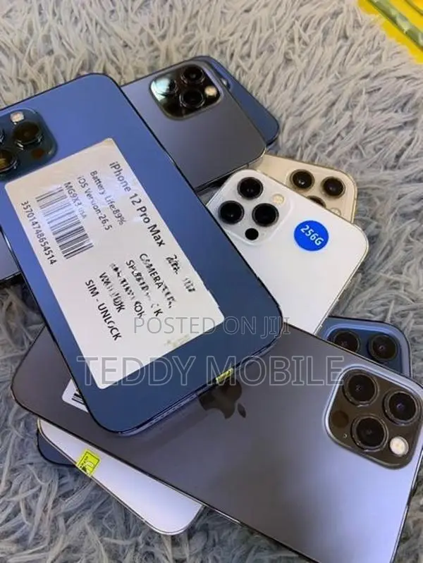 Apple iPhone 12 Pro Max 256GB (Used)