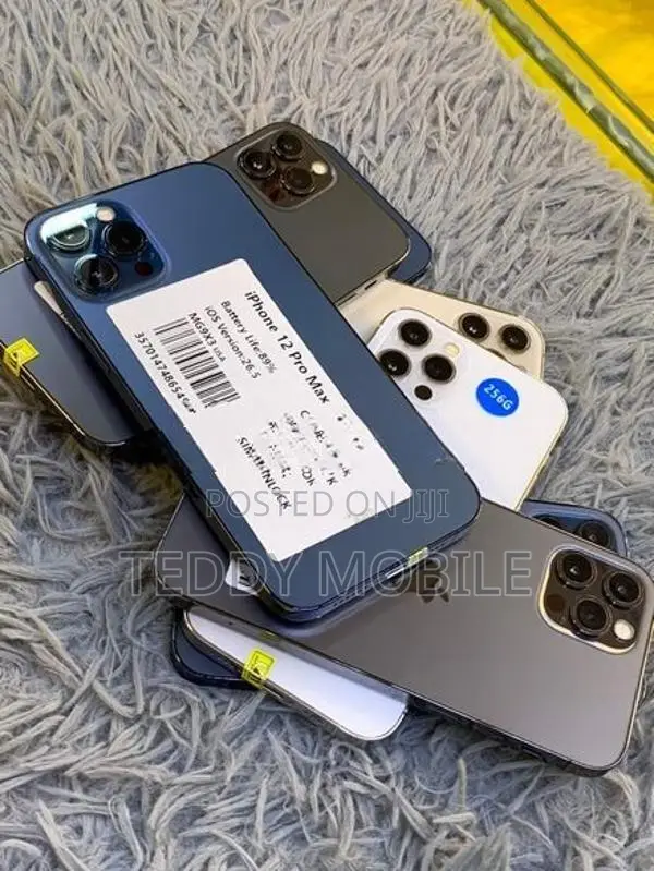 Apple iPhone 12 Pro Max 256GB (Used)