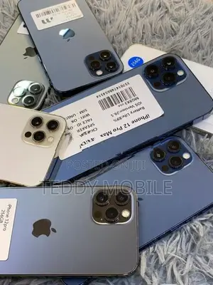 Apple iPhone 12 Pro Max 256GB (Used)