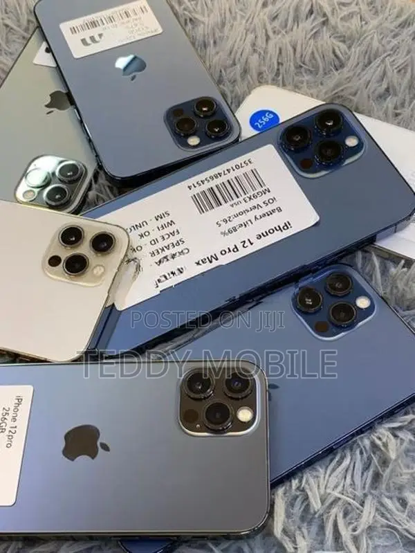 Apple iPhone 12 Pro Max 256GB (Used)