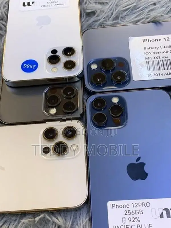 Apple iPhone 12 Pro Max 256GB (Used)