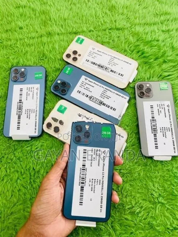 Apple iPhone 12 Pro (Used)