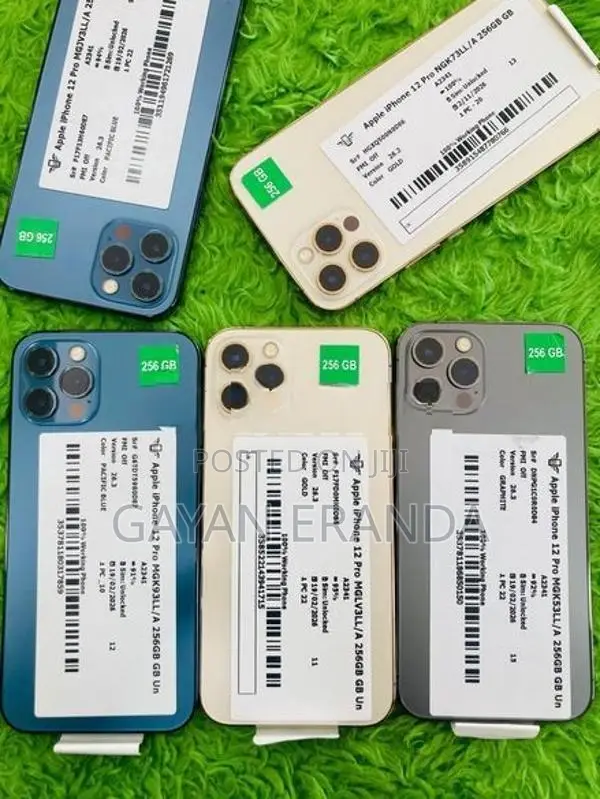 Apple iPhone 12 Pro (Used)