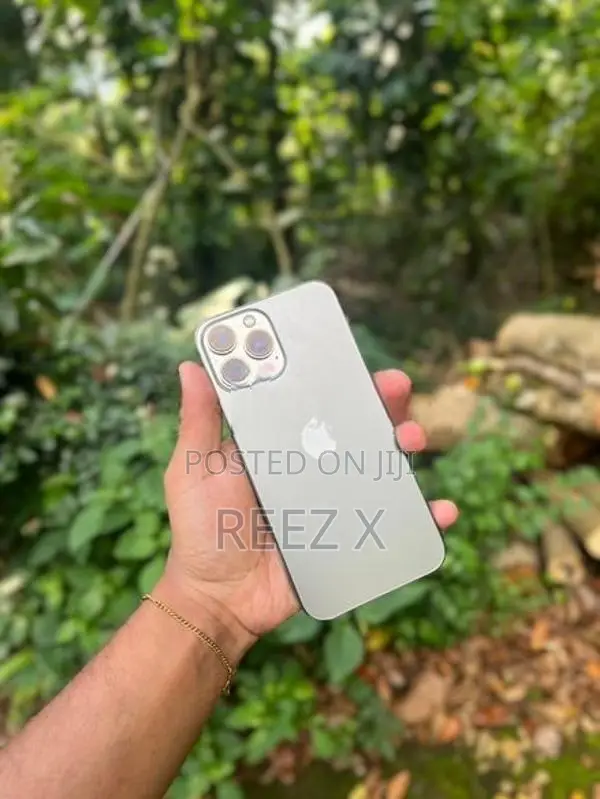 Apple iPhone 13 Pro Max (Used)