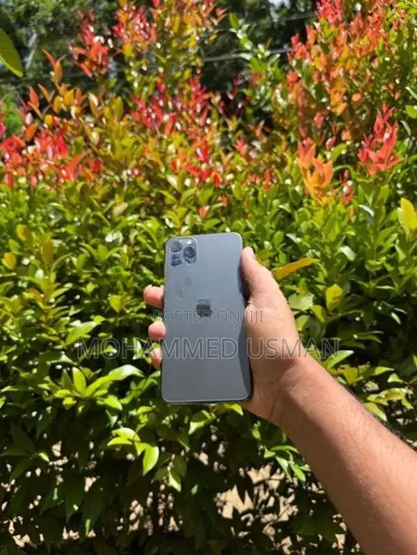 Apple iPhone 11 Pro Max 256GB (Used)