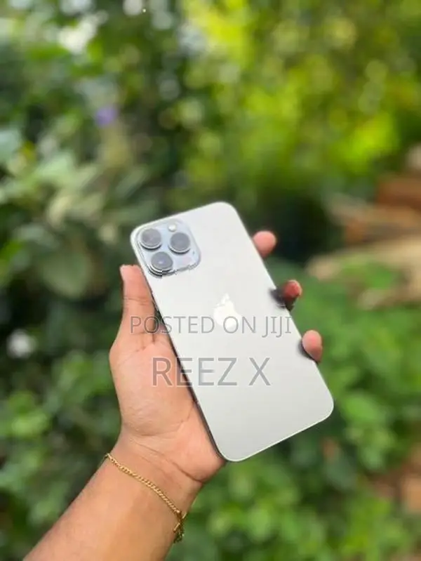 Apple iPhone 13 Pro Max (Used)