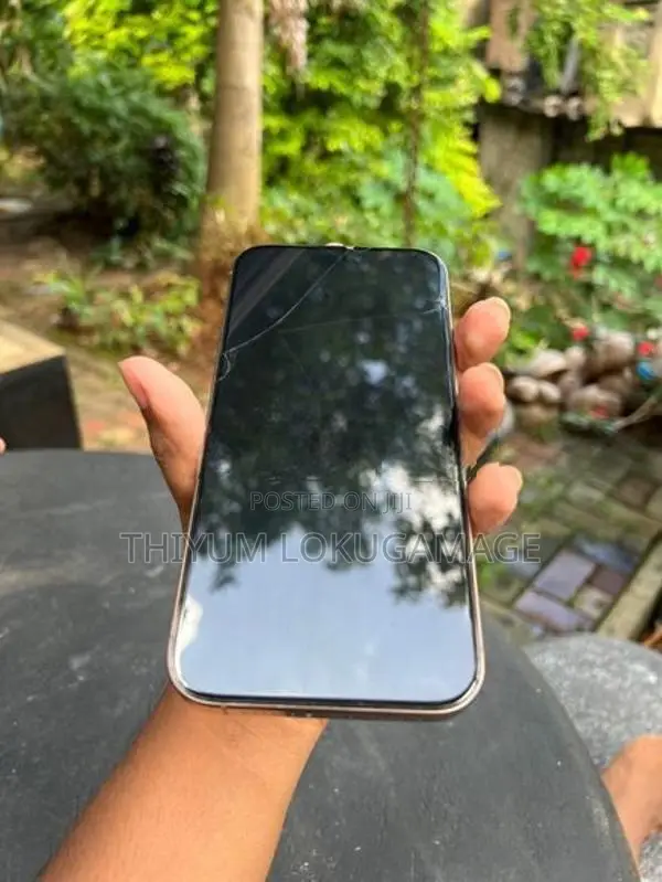 Apple iPhone 16 Pro Max (Used)