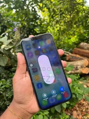 Apple iPhone 13 Pro Max (Used)