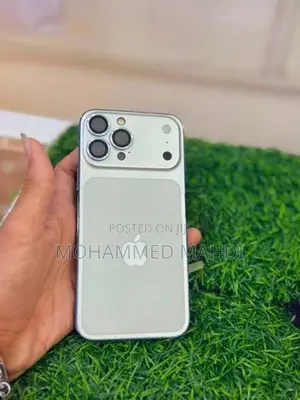 Apple iPhone 13 Pro Max (Used)