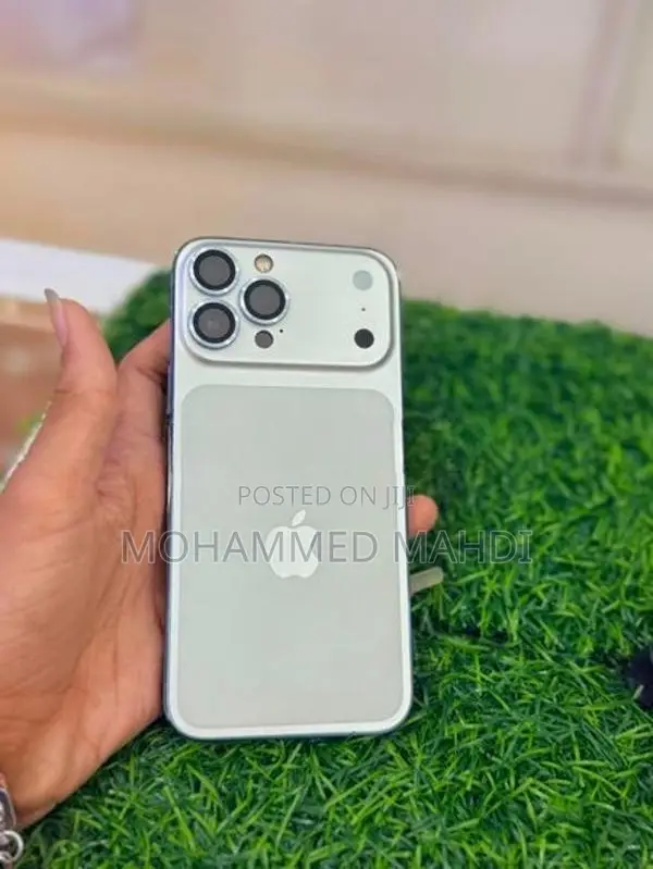 Apple iPhone 13 Pro Max (Used)
