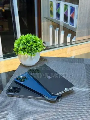 Apple iPhone 12 Pro Max 256GB (Used)