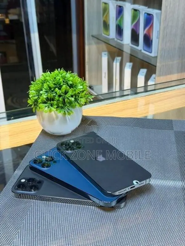 Apple iPhone 12 Pro Max 256GB (Used)