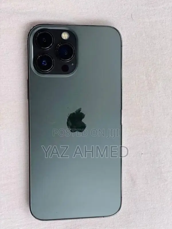 Apple iPhone 13 Pro Max 256GB (Used)