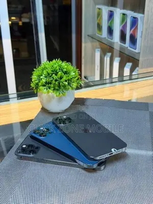 Apple iPhone 12 Pro Max 256GB (Used)