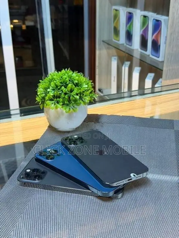 Apple iPhone 12 Pro Max 256GB (Used)