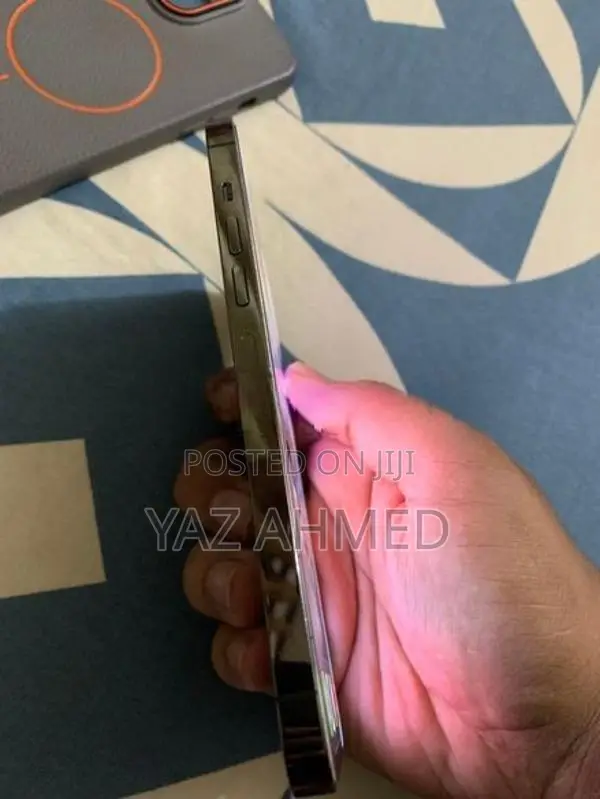 Apple iPhone 13 Pro Max 256GB (Used)