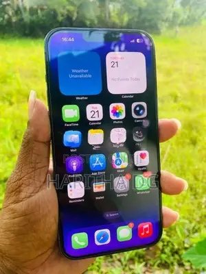 Apple iPhone 13 Pro Max 256GB (Used)