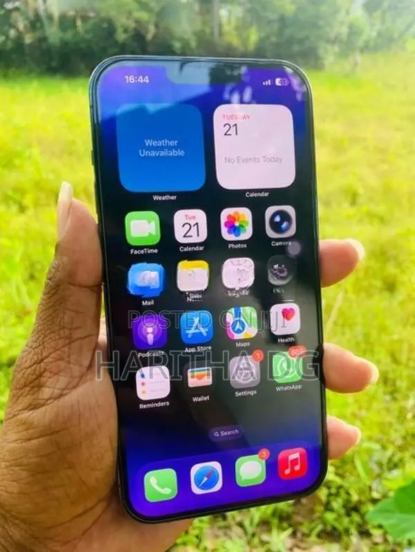 Apple iPhone 13 Pro Max 256GB (Used)