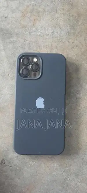 Apple iPhone 12 Pro Max (Used)
