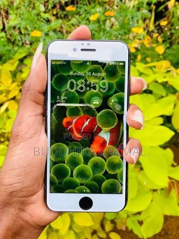 Apple iPhone 8 64Gb (Used)
