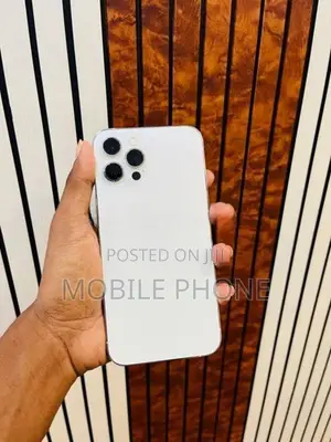 Apple iPhone 12 Pro Max (Used)