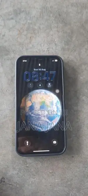 Apple iPhone 12 Pro Max (Used)